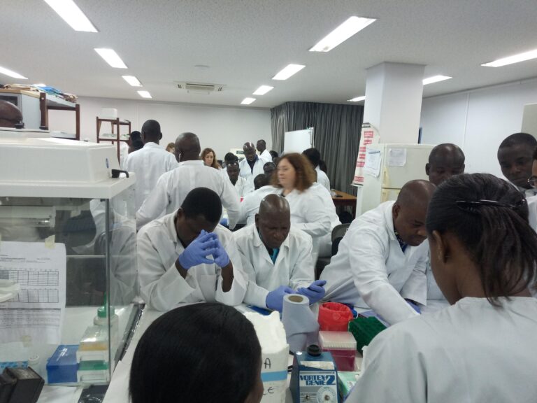 Training in insecticide resistance Monitoring